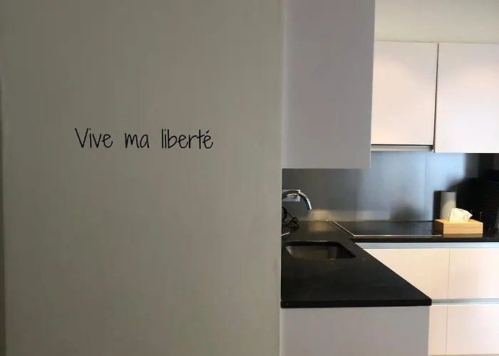 Vive Ma Liberte 公寓 奥斯滕德