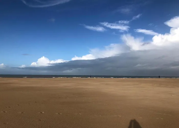 Vive Ma Liberte 公寓 奥斯滕德